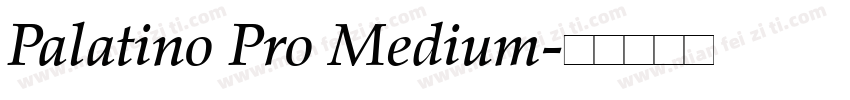 Palatino Pro Medium字体转换